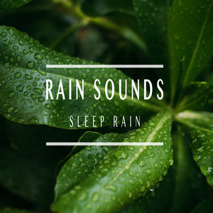 Sleep Rain
