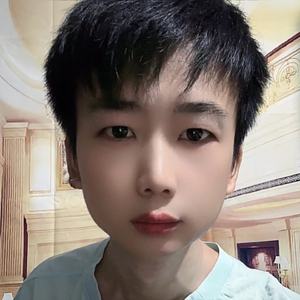 落叶思霜