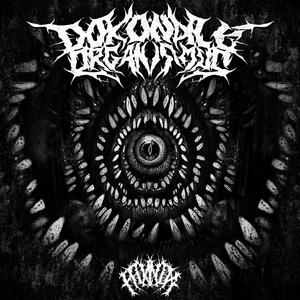 DOKONALÝ ORGANISMUS