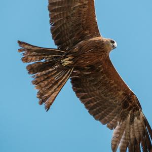 《请到草原来相会》