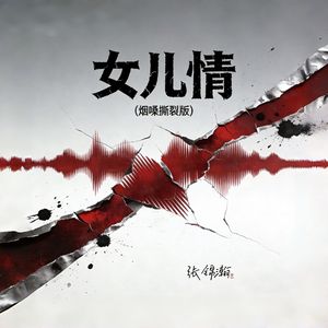 女儿情（烟嗓撕裂版）