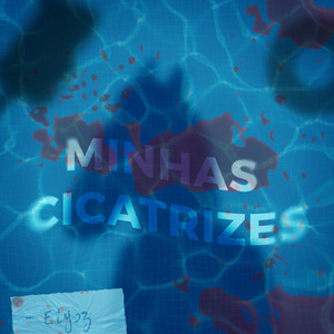 Minhas Cicatrizes