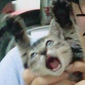 My Heart Is The Worst Kind Of Weapon (slowed)