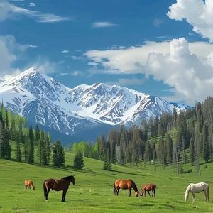 3000km(PROD BY XVIBE)