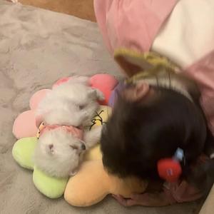 说好的幸福呢（女版吉他）