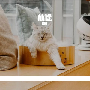 静谧时光里的消遣