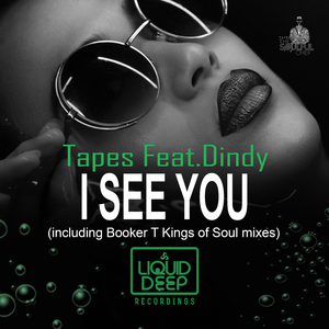 I See You (Booker T Afro Satta Dubstrumental)