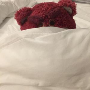 三十二段留言（翻自 Vicky宣宣）