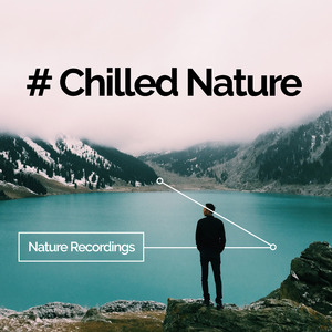 Birds on Tree Branches