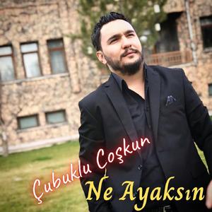 Ne Ayaksın