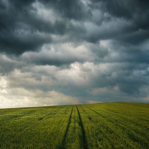 狂人的秘密結社