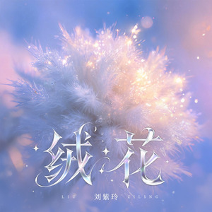 绒花(DJ恋曲新版)