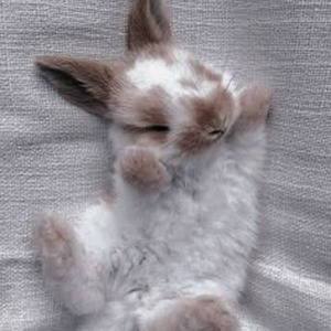 Danza Kuduro (slowed)