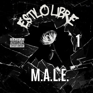 Estilo Libre 1