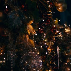 Christmas Rolly Rollo