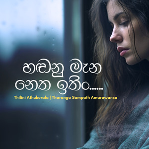 Handanu Mena Netha Ithin