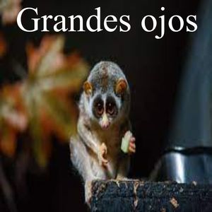 grandes ojos