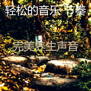 抚慰的睡眠回忆