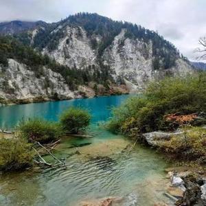 数钱的女孩 Cover 连麻swimming & 热单间HEATROOM)