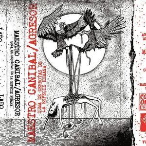 Culto a la Estupidez y a la Mediocridad