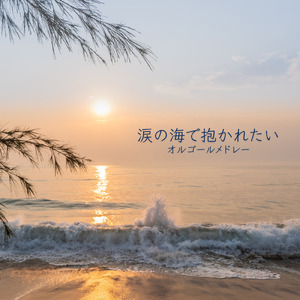 愛の言霊 ～Spiritual Message～ (I Love BGM Lab Music Box Cover)