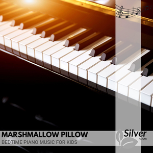 Study Sound (Slow Piano in C Sharp Minor)