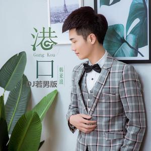 港口 (DJ若男版伴奏)