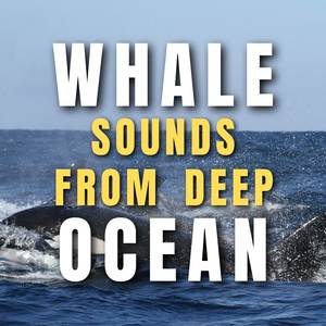 Whale Sound