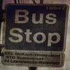 ant - Bus Stop