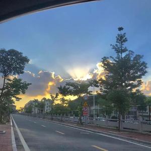 喜欢不一定非要谈恋爱