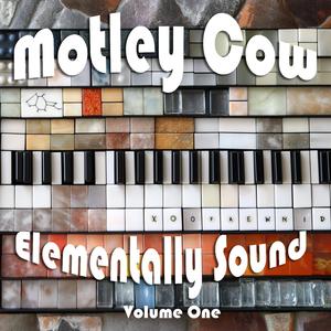 Magnesium Twelve-Step Program