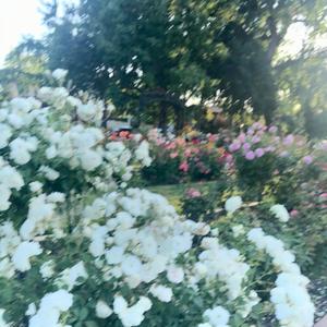 connect the dots (feat. que nu)