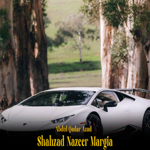 Shahzad Nazeer Margia