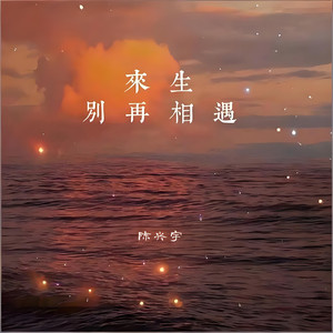 来生别再相遇-陈兴宇