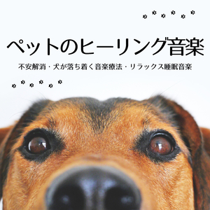 興奮抑える音楽