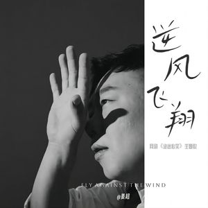 逆风飞翔