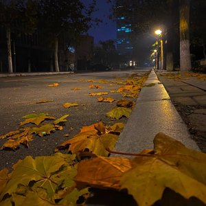 《遗憾的夏天》