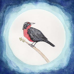 Río (feat. Gina Savino)