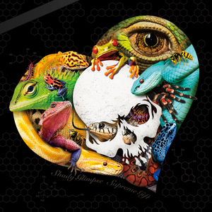 Killing After Midnight