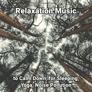 Relaxation Music, Pt. 42