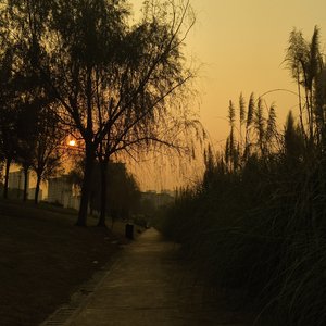 自由似风浪漫如梦