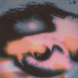 new w&ve (nibug0 freestyle - $$$ edition)