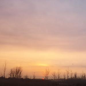 大玻璃 (feat. 足立レイ)