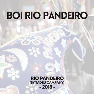Boi Rio Pandeiro