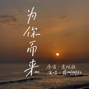 为你而来(Cover袁娅维)