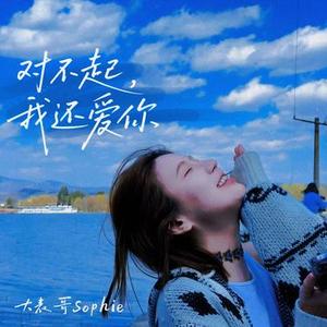 对不起，我还爱你 (伴奏)