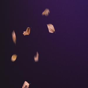 Changes in My Blood (Live)