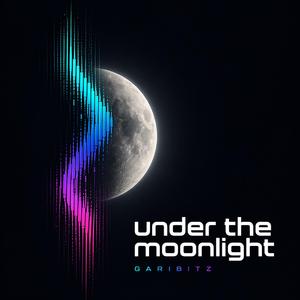 Under The Moonlight