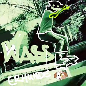 wasserhunde (dumme hunde)