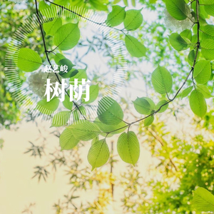 那年你我